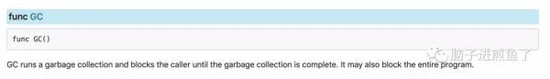 谈论Go 什么时候会触发 GC问题